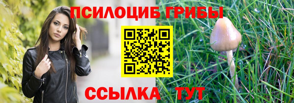 Лосино-Петровский  Псилоцибиновые грибы Psilocybe  Вход с VPN  Псилоцибиновые грибы Cubensis 